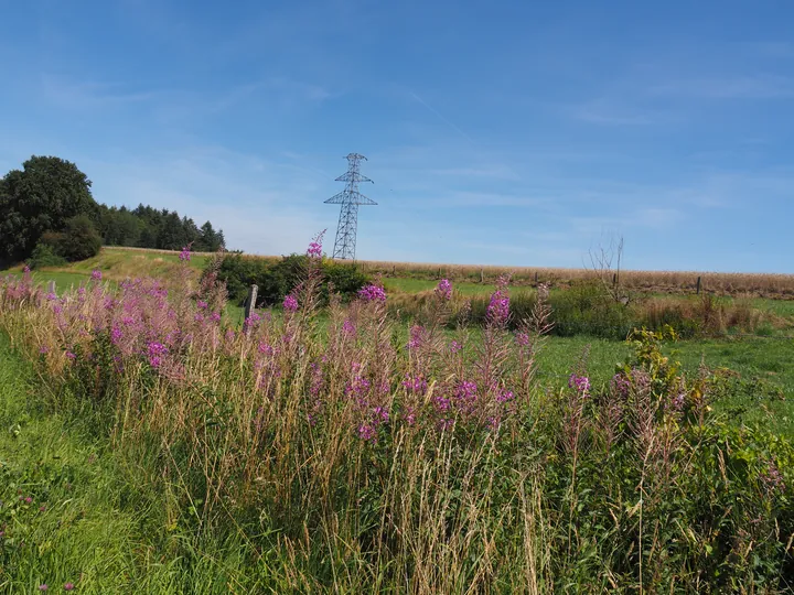 Beausaint (La Roche-en-Ardenne, Belgium)